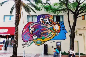 Grúa en Little Havana / Wynwood